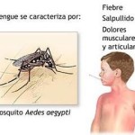 Alerta Sanitaria por Dengue