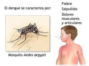 Alerta Sanitaria por Dengue