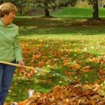 Alergias de Otoño