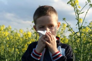 Alergias y Otitis